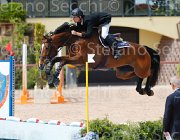 FORMENTINI WIN CHIN CampITA2013- S5 0425 : Campionati Italiani 2013, Cattolica, FORMENTINI FEDERICO, Horse Riviera Resort, WIN CHIN, foto di Stefano Secchi ©